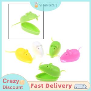 【SHANGZE3】 กล่องจัดระเบียบที่ใส่ฟันน้ำนมพลาสติกขนาดเล็ก5ชิ้น