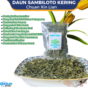 Teh Daun Sambiloto Kering Curah Sambilata Sambiroto Chuan xin lien Kering Organik Herbal Alami