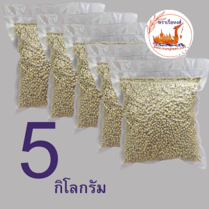 ถั่วเขียว คัดพิเศษ บรรจุ 1 / 2 / 5 กิโลกรัม ตราเรือหงส์ ทำขนม เพาะถั่วงอก เมล็ดพันธุ์ถั่วเขียว ถั่วสวย สะอาด สดใหม่ ส่งไวทันใจ