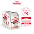 Royal Canin Instinctive Adult Wet (85g x 12 Pouches) Cat Food Makanan Kucing - Feline Health Nutrition. 
