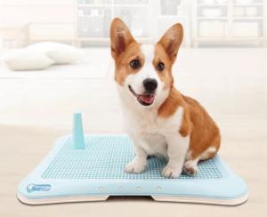 PP Pet DOG Puppy Potty Toilet Urine Pee Training Tray