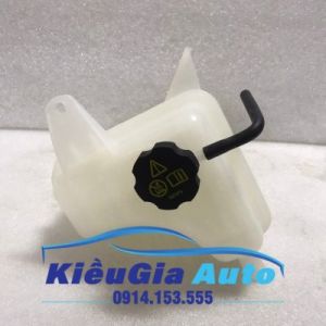 BÌNH NƯỚC PHỤ FORD ESCAPE