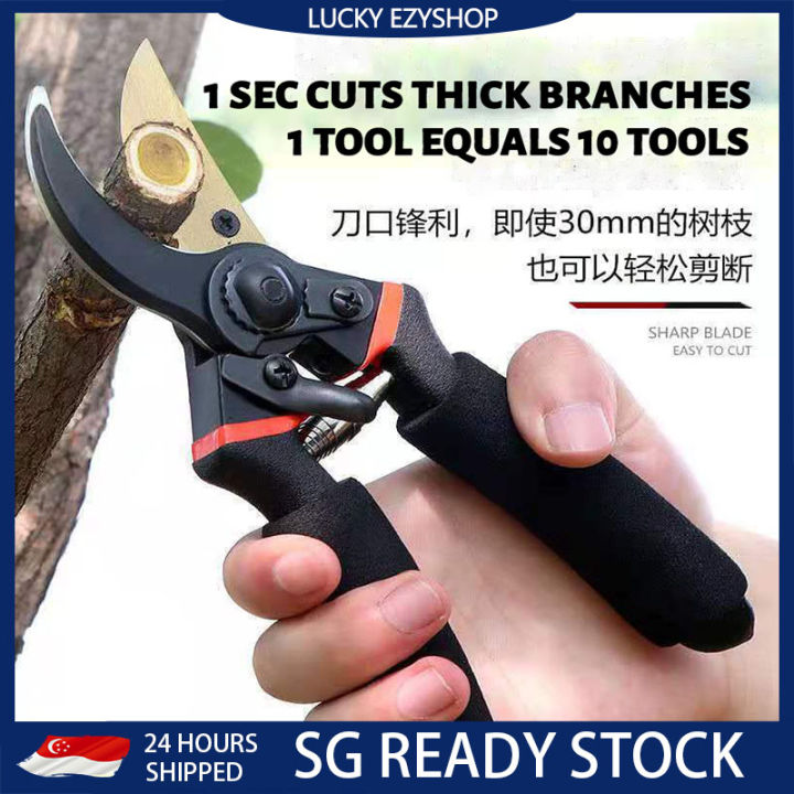 %E2%9C%A8SG%20STOCK%E2%9C%A8%20Pruning%20Shears%20Heavy%20Duty%20Garden%20Scissors%20Sharp%20Hand%20Pruner%20Anti%20Rust%20Plant%20Cutter%20Tree%20Branch%20Tool%20-%20Image%202