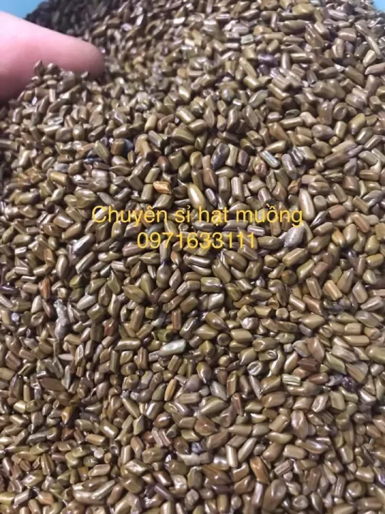 Combo%20%C4%91%E1%BB%93%20ch%C6%A1i%20x%C3%BAc%20c%C3%A1t%20h%E1%BA%A1t%20mu%E1%BB%93ng%20cho%20b%C3%A9%20ch%C6%A1i%20-%20Image%202