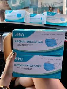 Disposable Protective Mask