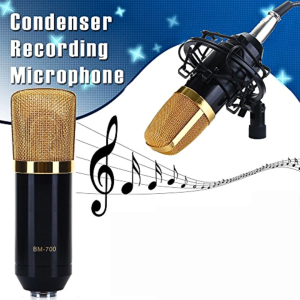 BERGARANSI TaffSTUDIO BM 700 Mikrofon Kondensor Studio Mic XLR with Shockproof Mount
