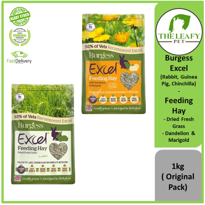 Burgess Excel Rabbit , Guinea Pig , Chinchilla Feeding Hay ( Fresh