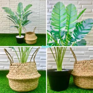 Pohon Artificial Daun Musa Florida X18 Semi Latex Cover Pot Purun Belly Pohon Plastik Dekorasi Rumah Dekorasi Ruangan