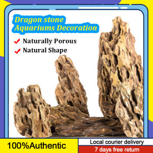 Dragon Stones Rock for Aquarium Aquascaping Decoration (Mixed Sizes)