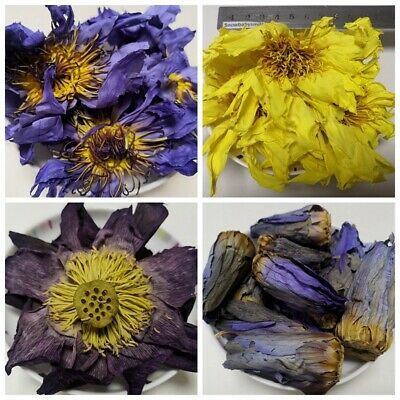 Blue Lotus Flower tea extract powder (Nymphaea caerulea) blue - Main Image