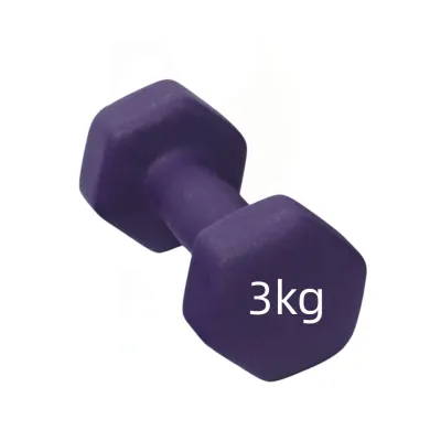 【Fast Delivery】Hexagon Dumbbell Home Weight Lifting Training Equipment Fitness Exercise Gym Workout 1kg 2kg 3kg 4kg Vinyl Dumbbell Lady Dumbbell In Fitness Dumbbell Set Pilates Gym Equipment