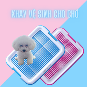 kHAY NHỰA CHO CHÓ ĐI VỆ SINH ĐÚNG CHỖ 42X52CM