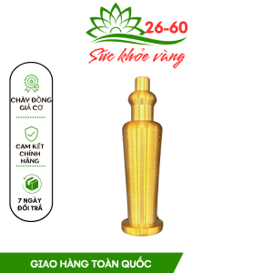 Chày Đồng Giải Cơ - Mềm Cơ Thông Kinh Hoạt Lạc - Diện Chẩn Bùi Quốc Châu