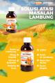 Madu Zestmag Asam Lambung Asli Madu Buat Sakit Maag Kronis Liver Tukak Lambung. 