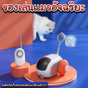 ของเล่นแมวอัจฉริยะ/Mochi.mochi Shop/ทาสว่าใช่ แมวว่าชอบ