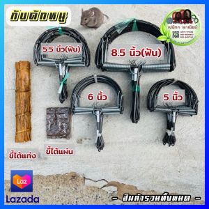 กับดักหนู 6 นิ้ว เต็มสเป็ค จัดส่งด่วน กับตีหนู กับดักหนูเวียดนาม กับดักเกือกม้า กับลาว กับฟ้าผ่า กับดักวงเดือน