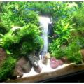 PASIR SLICA PUTIH 1KG  HALUS PASIR AQUASCAPE 1 KG SILIKA PASIR SLIKA PUTIH PASIR AQUARIUM. 