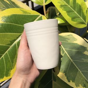 Wheat Straw Eco Friendly Drinking Cup Plastic Cup Mouth Wash Cup unbreakable plastic cups Travel Coffee Tea Water Drinking Cup
