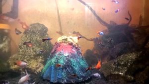 hiasan aquarium gunung Merapi full set