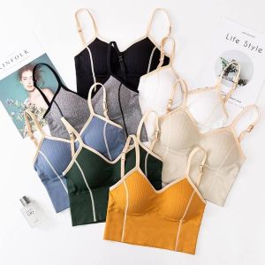 HIGH CLASS Crop Top Bra Sport Olahraga Bahan Katun Pakain Dalam Wanita High Quality tanktop Bra41