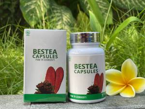 BESTEA CAPSULES 60 OBAT HERBAL DIABETES