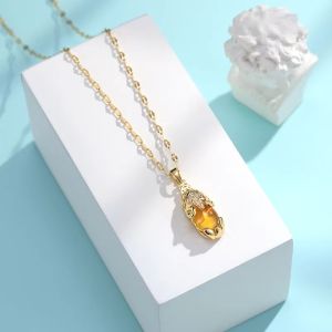 JASONGO123 24k Gold Plated Piyao Lucky Money Catcher Necklace Feng Shui PiXiu Necklace Protection Wealth