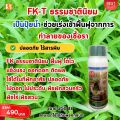 ผักบุ้ง ใบจุด ราสนิมขาว ราน้ำค้าง รากเน่า โรคราต่างๆ ป้องกันกำจัดด้วย ไอเอส และเร่งฟื้นฟู ด้วย ปุ๋ย FK-T. 