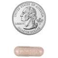 Raw Probiotics for Women, 100 Billion CFU with Prebiotics, Digestive Enzymes, Approved Probiotic for Adult Women. 