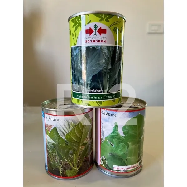 10 อันดับ เมล็ดพันธุ์คะน้าและผักสวนครัว ยี่ห้อไหนดี? ปลูกง่าย งอกดี อัปเดตปี 2025