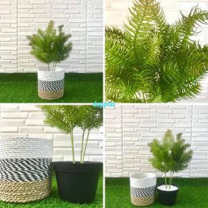 Tanaman Hias Daun Pinus Cemara Tangkai X4 Latex Artificial Cover Pot Seagrass Variasi Pajangan Dekorasi Ruangan