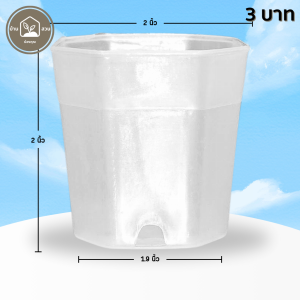 กระถาง กระถางแคคตัส กระถางแปดเหลี่ยม 2 นิ้ว สีใส Bundle 100 ใบ ชิ้น อัน