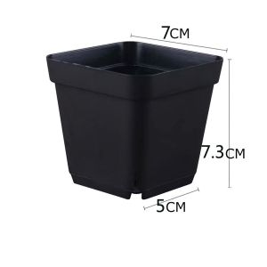 Chậu nhựa trồng sen đá xương rồng màu trắng nhiều size giá không móc - NIEVE