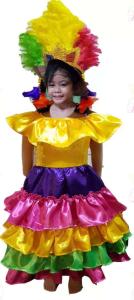 Ms. Costa Rica Costume
