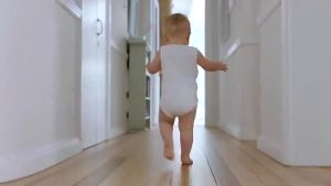 New Item!!! Diapex Wonder Pants Super Jumbo Disposable Baby Diapers Pull Up Pants Bulk Pack (M/L/XL/XXL/XXXL)