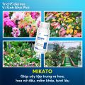 Mikato Dế Mèn - Siêu chặn đọt, hỗ trợ phân hóa mầm hoa 500ml. 