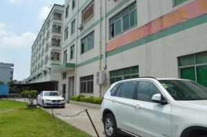 Ball Head Tree Climbing Spikes Suitable for GoPro Sports Camera Universal Tree Nail Wall Mount Shooting Bracket Outdoor Screw