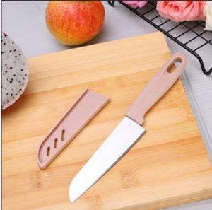 Dao Gọt Vỏ Trái Cây - Dao Cắt Hoa Quả Thép Du Lịch Có BAO LƯỠI