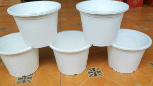 กระถาง 10 นิ้ว สีขาว แพ็คละ 5 ใบ