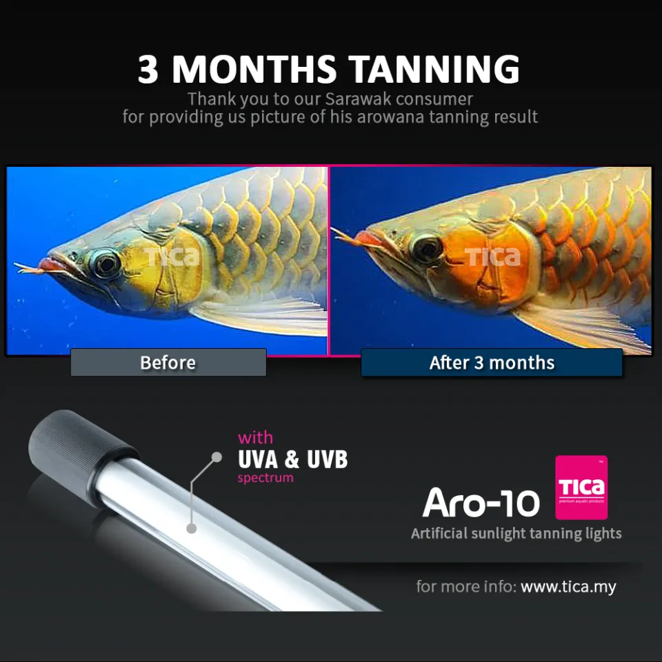 Tica Aro-10 white 13000k (88cm) arowana tanning light | Lazada