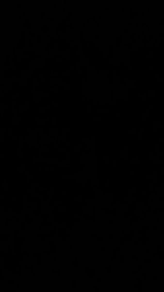 Buyer review video 3