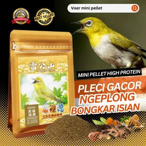 PAKAN BURUNG PLECI MINI PELLET EXTRA PROTEIN BIKIN GACOR