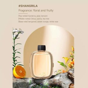 Humidifier Diffuser Aromaterapi Pewangi Ruangan Pengharum Ruangan Kamar Mandi Toilet Kamar Tidur USB Rechargeable Rumah Kamar Tidur Spray Aromaterapi Mesin