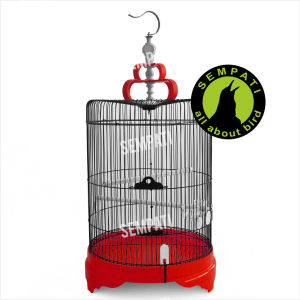 SEMPATI Sangkar Kandang Burung Murai Jumbo Fullset 46cm Tebok Pvc Tebal Besi Import Sangkar Kandang Burung Murai Poksay Kacer Cucak Ijo Jalak