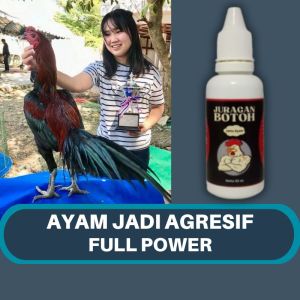 Doping Ayam Bangkok Juragan Botoh Untuk Tarung
