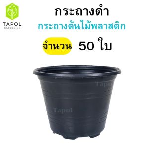 กระถางดำ ขนาด 4 นิ้ว เหมาะสำหรับปลูกต้นไม้ ปลูกแคคตัส พลาสติกหนาแข็งแรง ทนทาน ไม่แตกหักง่าย