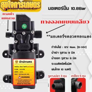 มอเตอร์ปั้มแบบเกลียว 10.8บาร์ มอเตอร์ปั้มเดี่ยว ยักษ์ พ่นแรง พ่นไกล พ่นหมอก พ่นยา เครื่องพ่นยาแบตเตอรี่ สินค้าพร้อมส่ง