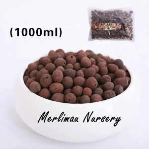 [Merlimau Nursery] Hydro Stone Clay / Pebbles Clay Ball Leca Hydrokorrels/ succulent soil 陶粒多肉陶粒