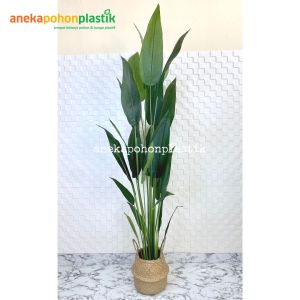Pohon Artificial Tanaman Imitasi Daun Pisangan Heliconia T210 Latex Cover Purun Belly Medium Dekorasi Rumah Aesthetic