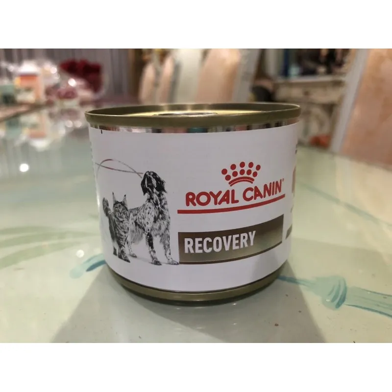 Royal canin recovery food for shops cats