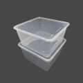 Thinwall 3000 ml Kotak Makan Anti Panas 25 pcs Tutup Lunch Box Frozen. 
